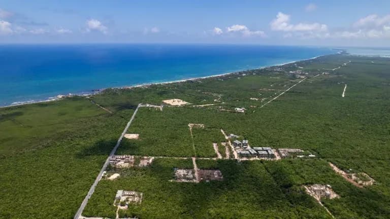 Aerial view of Tulum's Caribbean coastline and forest